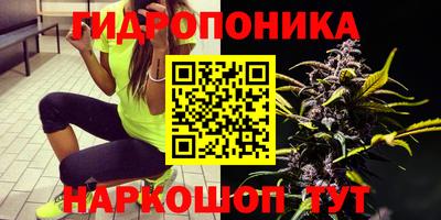 бошки Ликино-Дулёво