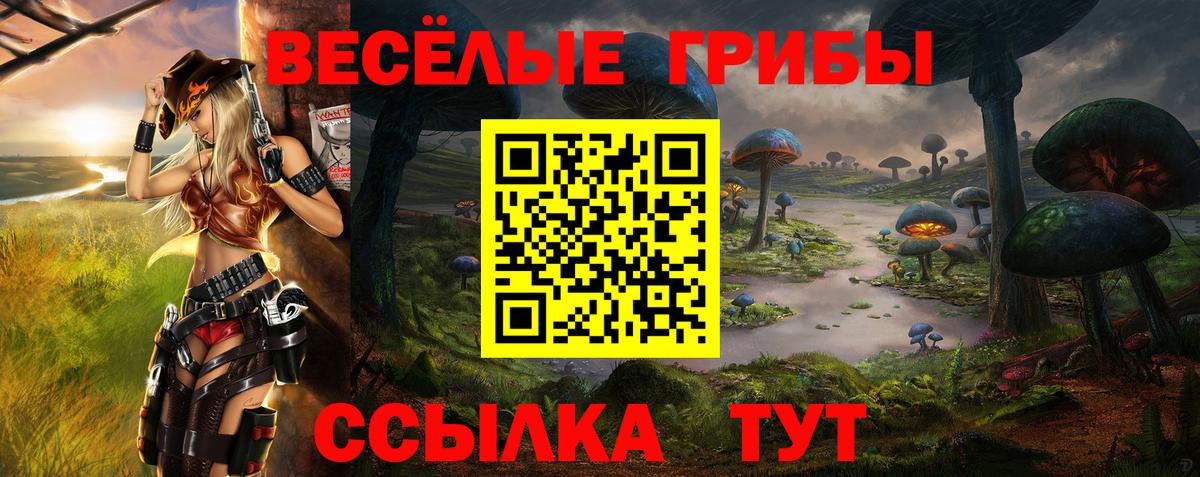 Гашиш  Бошки Шишки  Кинешма  MDMA  Вход с VPN  Cocaine  ГАШ  NBOMe  ГЕРОИН  Мефедрон  Меф  