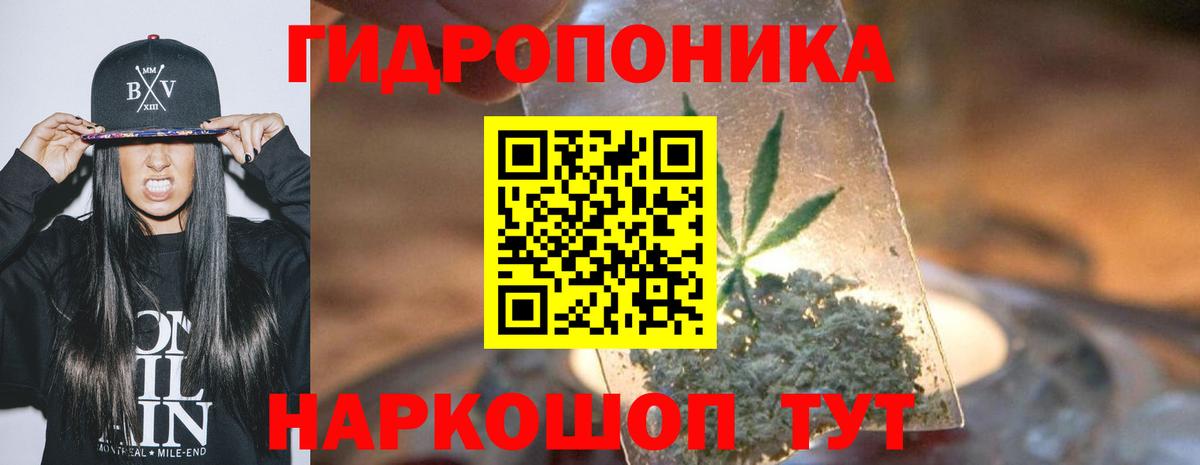 Бошки Шишки тримм Кинешма